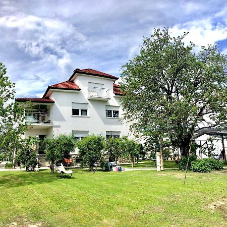 Apartments Andrej - OПтуй Экстерьер фото